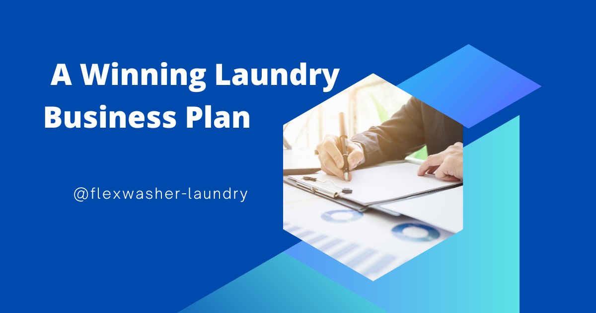 laundry business plan pdf in india
