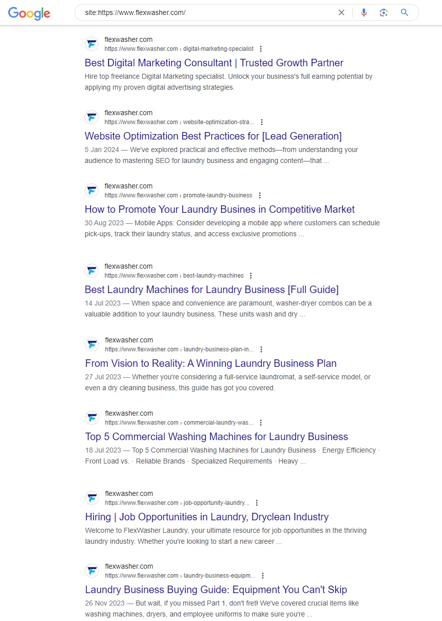 Flexwasher Laundry - Google search result page Reports