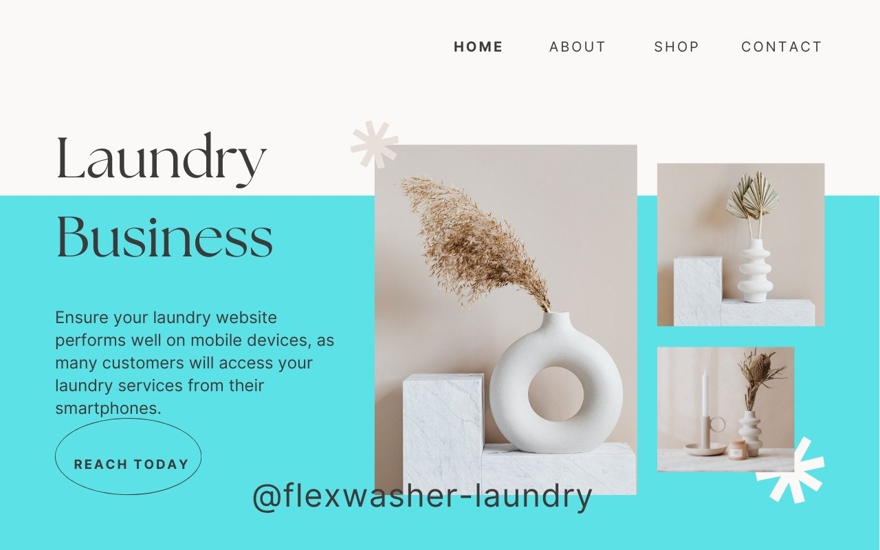 Landing page design and Optimization for laundry business